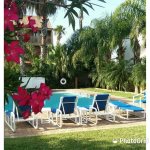 Tropical surroundings At the peaceful Pool